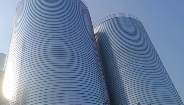 鄂州2座混凝土高架卷板仓